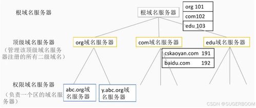 服務(wù)基礎(chǔ)第一階段第六節(jié) Windows系統(tǒng)管理基礎(chǔ)——DNS部署與安全，助力信息系統(tǒng)運行維護服務(wù)